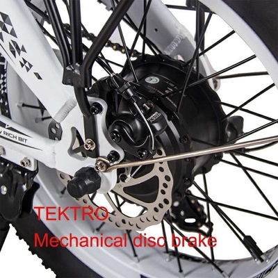 Electric Folding City Bike Commuter 20" 500w 4.0 Super Wide Tire 48v 9.6Ah RICH BIT 016
