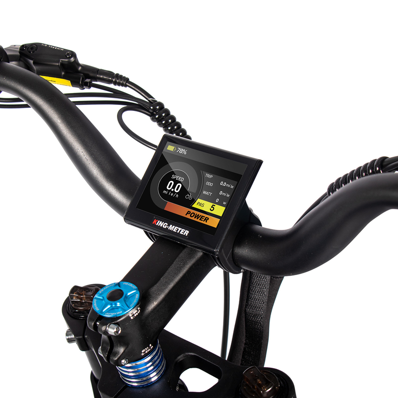 US EU STOCK 26 Inch Fat Tire Ebike 1000w 4 Tire 17Ah Big Lithium Battery All Terrain Electric